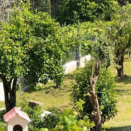 Tebra Casa Estrella旅馆 外观 照片