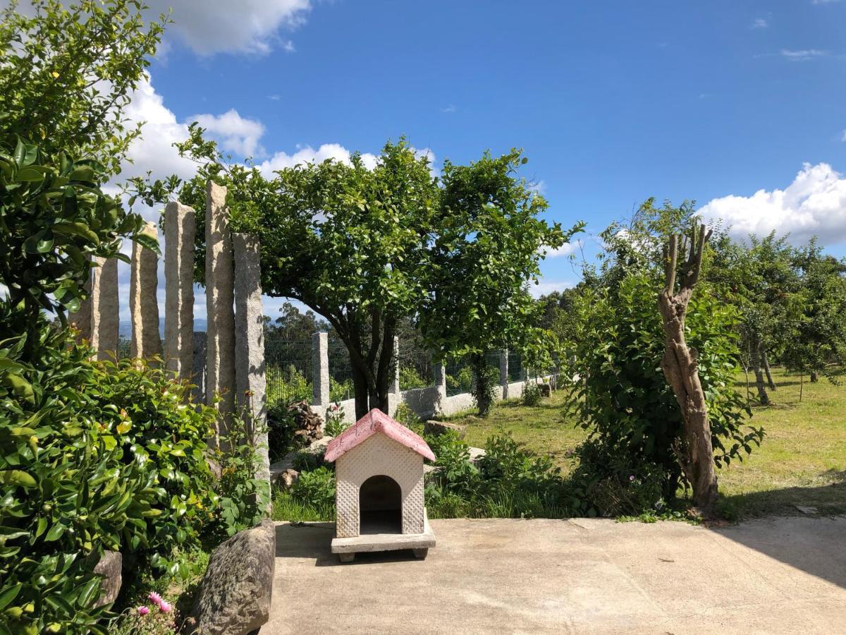 Tebra Casa Estrella旅馆 外观 照片