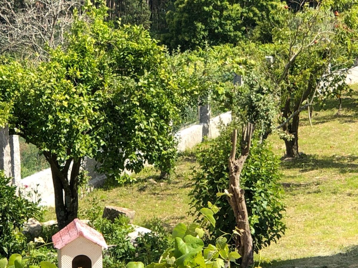 Tebra Casa Estrella旅馆 外观 照片