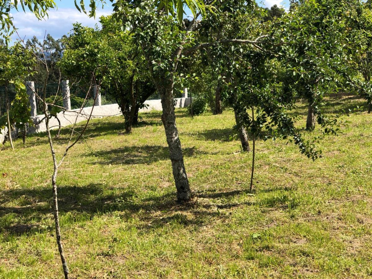Tebra Casa Estrella旅馆 外观 照片